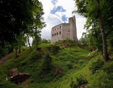 Chateau de Spesbourg Photo - Chateau de Spesbourg, Andlau, Alsace 