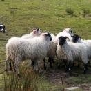 Traveler Photo of the Day