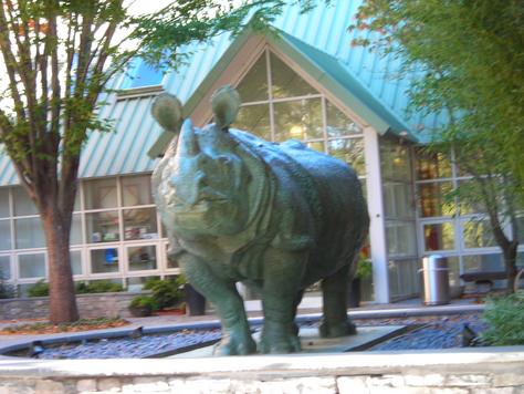 Rhino sculpture Photo - Isabella Stewart Gardner Museum, Boston, Massachusetts 