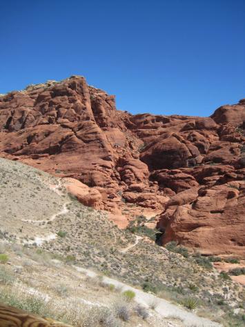 Red Rocks and Blue Skies Photo - Red Rock Canyon, Las Vegas, Nevada 