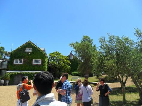 Our first glass of wine Photo - Stonyridge Vineyard, Auckland, New Zealand 