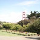 This red icon is well worth checking out in detail