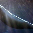 Travel Photo by IgoUgo member