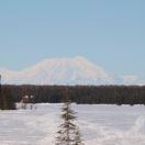 View of Mt. McKinley Photo - Denali, Alaska 