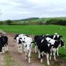 Traveler Photo of the Day