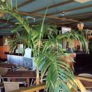 Example of a small local eatery