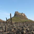 Traveler Photo of the Day