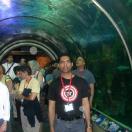 Aquarium of the Americas