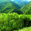 The Pyrenees, on the way to Latour de Carol Photo - Andorra, Europe 