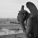 Traveler Photo of the Day