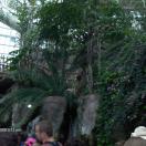 Audubon Aquarium of the Americas