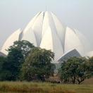 A Lotus Frozen in Stone