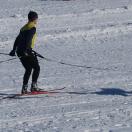 Skijoring the Chena River Photo - Fairbanks, Alaska 