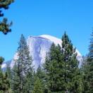 Yosemite in a Day By Motorcoach