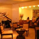 Delmonico - Good Side of Cow