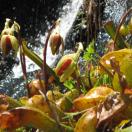 Traveler Photo of the Day