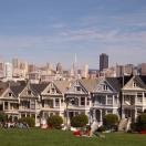 Painted Ladies