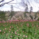 Traveler Photo of the Day