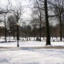 Boston Common