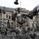 A Short Sight of National Gallery London