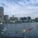 Baltimore Inner Harbor Makes Education Fun Photo - Baltimore, Maryland 