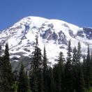 Mount Rainier from Paradise Photo - Mt. Rainier National Park, Washington 