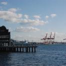 The harbor Photo - Seattle, Washington 