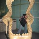 Aquarium of the  Americas