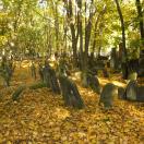 Traveler Photo of the Day