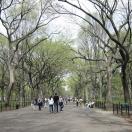 Central Park, New York Photo - Central Park, New York, New York 