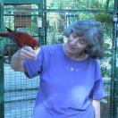 Ever Dreamed of Having Big Bird Sit on your Head?