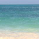 Living It Up in Cancun!