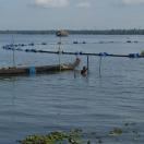 The harsh side of backwater life Photo - Kerala, India 
