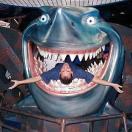 Bad Luck's Charm Photo