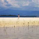 A Pristine Beach for Every Traveler Photo