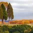 2008 Fall Photo Roundup Photo