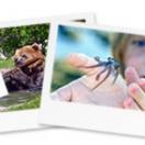 Nominate Your Favorites for the 2008 U GO! Awards Photo