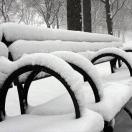 Scenes from a Classic New York Holiday Photo