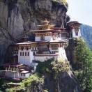 Mugged by a Monkey & Other Himalayan Adventures Photo