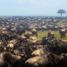 Thrilling Safaris in Kenya and South Africa Photo