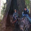 Five Newcomers Share Unique Trips Photo