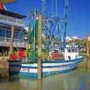 A Lowcountry Crab Quest with weeblewobble46 Photo