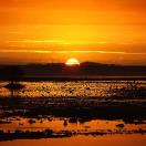 Every Photo's a Trip for Debbietje and nitatravels Photo