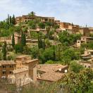 Joy S: Train, Tram & Driver's Delight on Mallorca Photo
