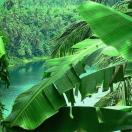 Eight New and Returning Members Who Inspire Travel Photo