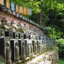 Five Notable Newcomers in Europe, Asia, and the US Photo