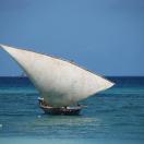 Must-See Trip: nofootprint's Tanzania Adventure Photo