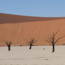 Traveler of the Week Drives South Africa & Namibia Photo