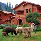 Photos of the Week: Warm and Wild Photo