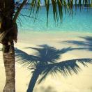 Three Caribbean Trips to Brighten Your Winter Photo